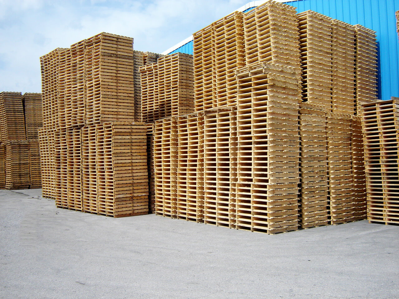 stock de paletes pinho nacional aji madeiras