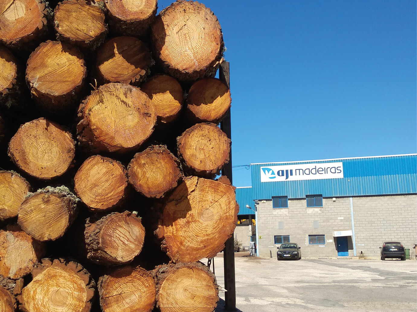 serração aji madeiras fabrica mação portugal